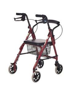 Khung tập đi có giỏ đựng đồ DY049144L tại Thanh Hóa